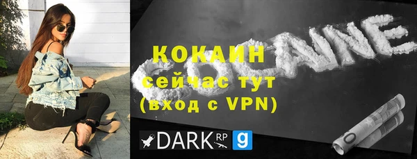 сатива Гусев