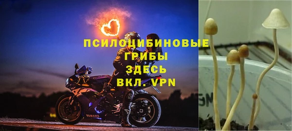 ALPHA PVP Гусиноозёрск
