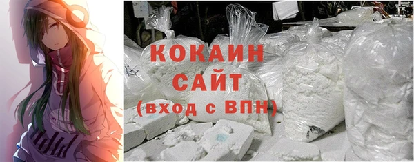 сатива Гусев
