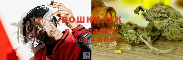 apvp Гусь-Хрустальный