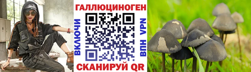 Галлюциногенные грибы Cubensis  Купить  Лебедянь 